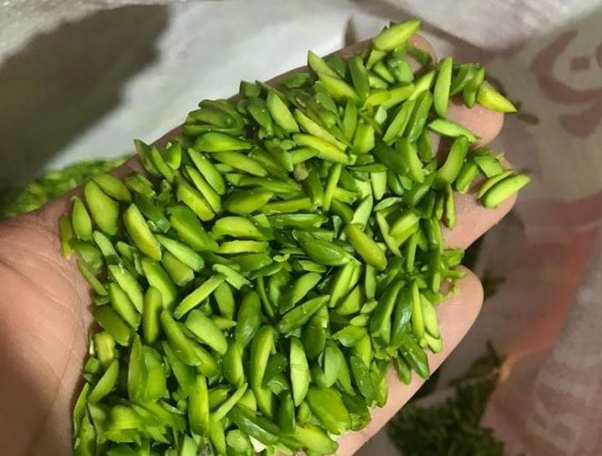 خلال پسته هرول مناسب تولید شکلات و شیرینی های لوکس